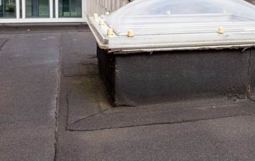 disadvantages of Cattistock flat roofs