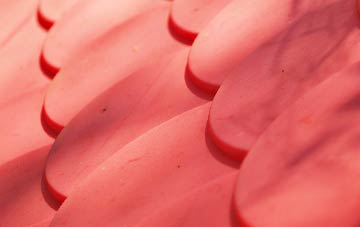 Cattistock plastic roof costs