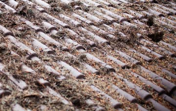 Cattistock roof cleaning companies