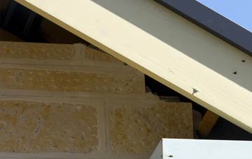soffit repair Cattistock