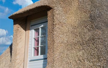 Cattistock thatch roof disadvantages